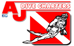 AJ Dive Charters